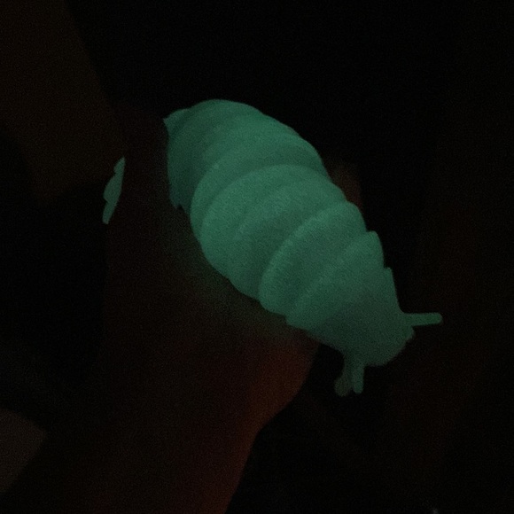 🌈 Lot of 2 Wriggle Slug Fidget Toys, Rainbow & Glow-in-the-Dark, Worm - Picture 3 of 3